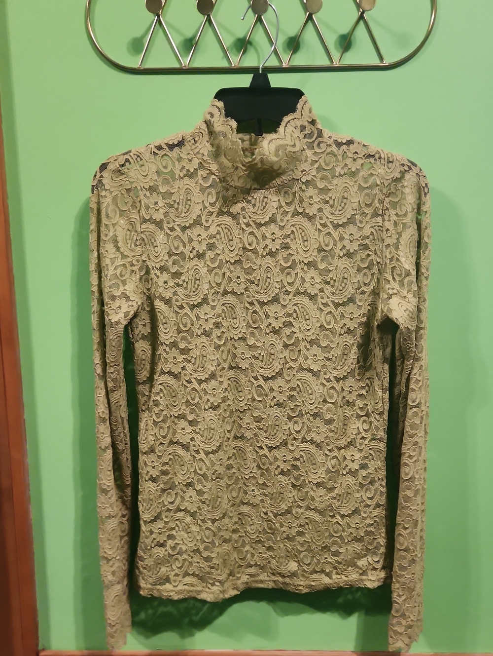 Lace Sheer Long Sleeve Top